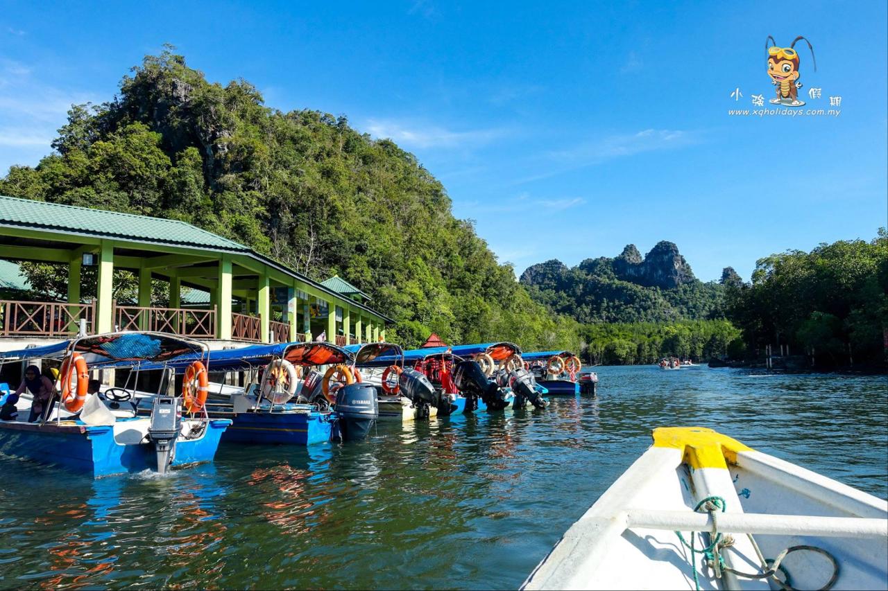 Jelajahi Ekosistem Bakau Langkawi dengan Mangrove Tour yang Menakjubkan