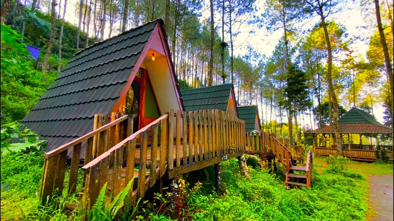 Telomoyo Nature Park: Petualangan Menakjubkan di Puncak Jawa Tengah